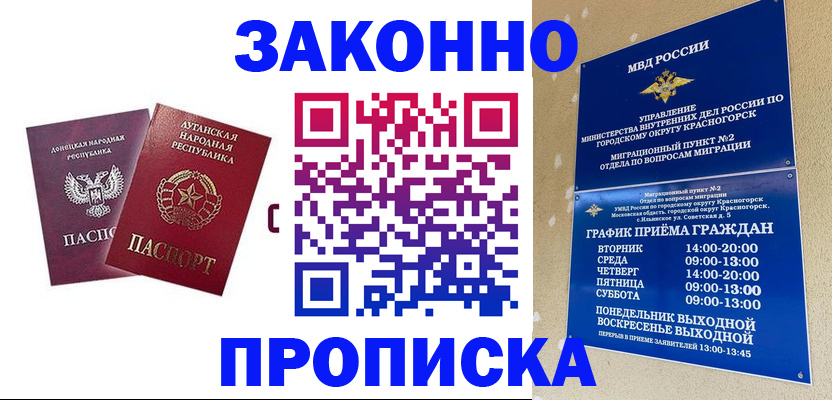 прописка в Ермолино